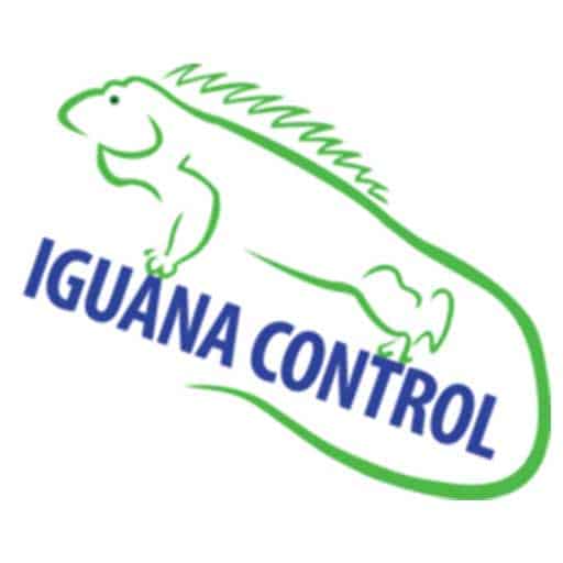 South Florida Iguana Removal | Iguana Control
