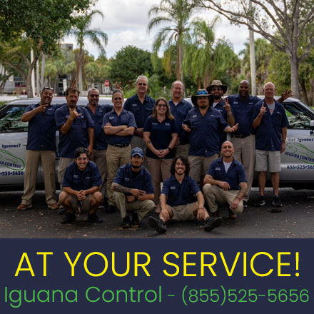Iguana Control Staff